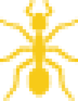 ANTI TERMITE TREATMENT 